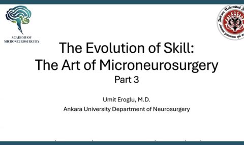 Webinar la evolucion de las habilidades: El arte de la microneurocirugía